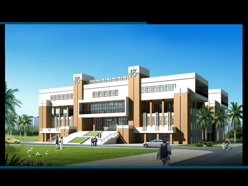 Assistance to the Library of Nguwabi University in Congo (Brazzaville)